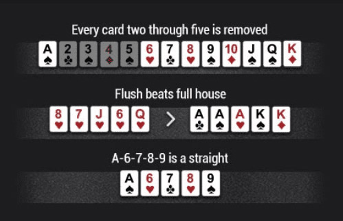card相关图片